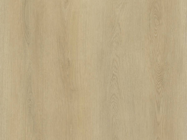 Warm Oak Plank Dry-Back
