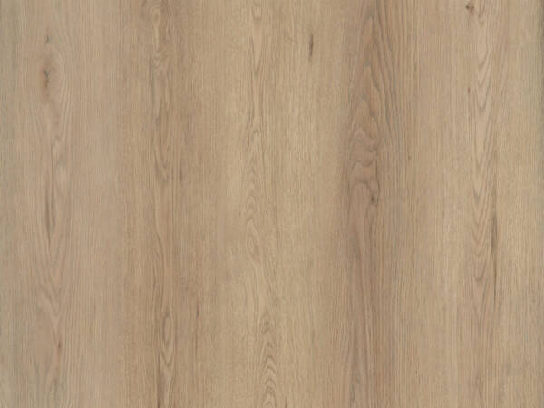 Ruby Plank Click