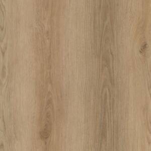 Lesedi Plank Click