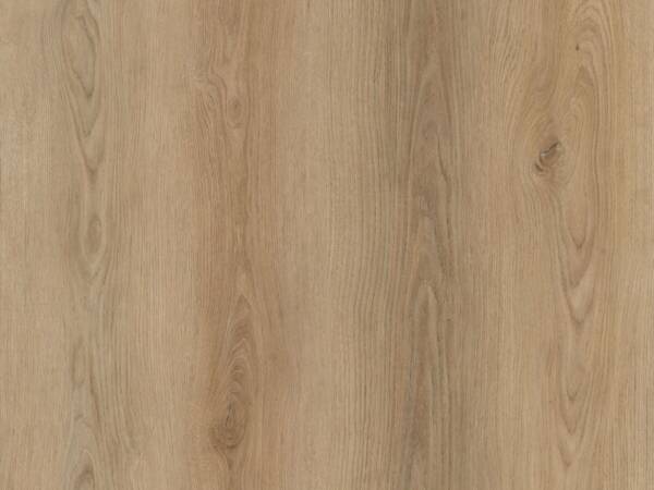 Lesedi Plank Click