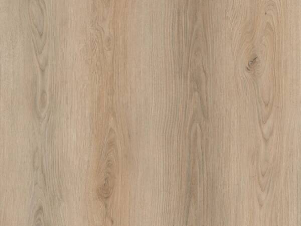 Eternity Plank Click