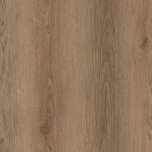 Sierra Plank Click