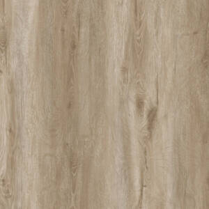 Amazon Plank Click